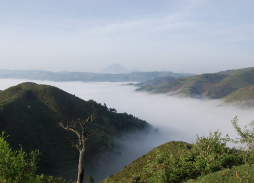 What to Pack for a Safari in Uganda