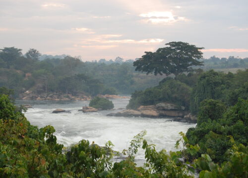 5 Days Gorilla trekking and White-water rafting Safari Uganda
