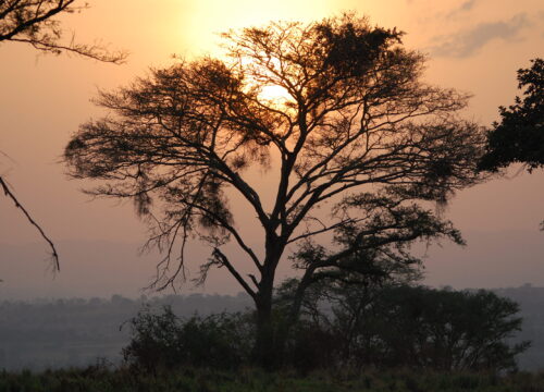 10 Day Tour Rwanda – Uganda